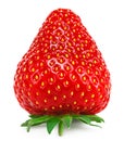 Strawberry isolated on white background. macro. clipping path Royalty Free Stock Photo