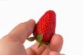 Strawberry isolated on white background.