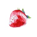 Strawberry. Isolated on a white background. Watercolor illustration.