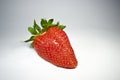 Strawberry isolated, white clipping path, with green leaf, closeup, macro photo Royalty Free Stock Photo