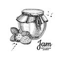 Strawberry jam glass jar vector drawing. Fruit Jelly and marmal Royalty Free Stock Photo