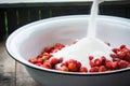 Strawberry jam making Royalty Free Stock Photo