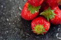 Strawberry. Juicy ripe strawberries with water drops on a wet dark background. Red berries. Copy space. Close-up. Selective focus