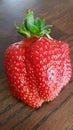 Strawberry of large size