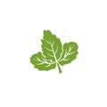 Strawberry leaf logo icon vector illustration