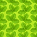 Strawberry leaf texture pattern. Plant ackground