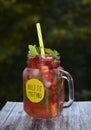 strawberry lemonade with fresh mint sprigs and ice Royalty Free Stock Photo