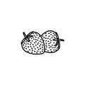 strawberry line illustration icon on white background