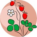 Strawberry logo