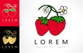 Strawberry logo vector