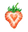 Strawberry love. Water color drawing of strawberry Royalty Free Stock Photo