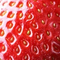 Strawberry macro Royalty Free Stock Photo