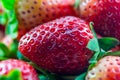 Strawberry macro closeup