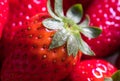 Strawberry macro ripe and appetizing fruit seed detail and textur dark background Royalty Free Stock Photo