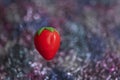 Strawberry made of marzipan Royalty Free Stock Photo