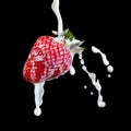 Strawberry Making A Splash. Isolated on black background. Royalty Free Stock Photo