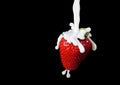 Strawberry Making A Splash. Isolated on black background. Royalty Free Stock Photo