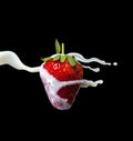 Strawberry Making A Splash. Isolated on black background. Royalty Free Stock Photo