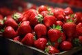 Strawberry market stall Photo, Cottagecore simple living Royalty Free Stock Photo