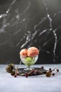 Strawberry and matcha green tea ice cream gelato with red berries and pine cone decoration for winter and christmas dessert Royalty Free Stock Photo