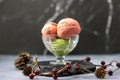 Strawberry and matcha green tea ice cream gelato with red berries and pine cone decoration for winter and christmas dessert Royalty Free Stock Photo