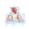 Strawberry in 3 melted ice cubes