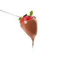 Strawberry with milk chocolate on fondue fork against background Royalty Free Stock Photo