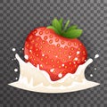 Strawberry milk cream curl splash drops fruit realistic transparent background 3d design vector illustration Royalty Free Stock Photo