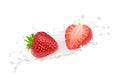 Strawberry in milk splashes isolated on white background. Royalty Free Stock Photo