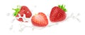 Strawberry in milk splashes isolated on white background. Royalty Free Stock Photo