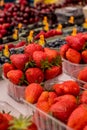 Strawberry and mixed berries Royalty Free Stock Photo