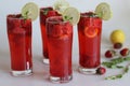 Strawberry mojito mocktail. A perfect fruity and bubbly drink for a hot summer day Royalty Free Stock Photo