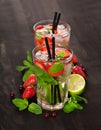 Strawberry mojito summer cocktail drink