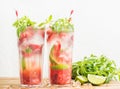 Strawberry mojito summer cocktails with mint and lime in tall glasses Royalty Free Stock Photo