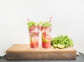 Strawberry mojito summer cocktails with mint and lime in tall glasses Royalty Free Stock Photo