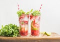 Strawberry mojito summer cocktails with mint and lime in tall glasses Royalty Free Stock Photo