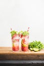 Strawberry mojito summer cocktails with mint and lime in tall glasses Royalty Free Stock Photo