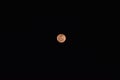 Strawberry moon photography 200mm lens Royalty Free Stock Photo