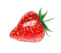 Strawberry from multicolored paints. Splash of watercolor, colored drawing, realistic Royalty Free Stock Photo