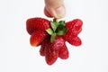 Strawberry Mutant. Red strawberry in the form of a heart in a hand