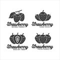 Strawberry natual product logo collection