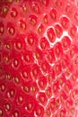 Strawberry Royalty Free Stock Photo