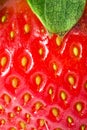 Strawberry Royalty Free Stock Photo