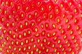 Strawberry Royalty Free Stock Photo