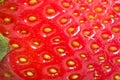 Strawberry Royalty Free Stock Photo