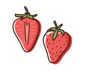 Strawberry outline illustration with watercolor effect. Vector doodle sketch hand drawn fruit illustration