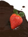 Strawberry over chocolate sauce Royalty Free Stock Photo