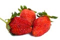 Strawberry over white background Royalty Free Stock Photo