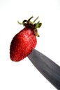 Strawberry over white background Royalty Free Stock Photo