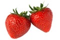 Strawberry pair Royalty Free Stock Photo